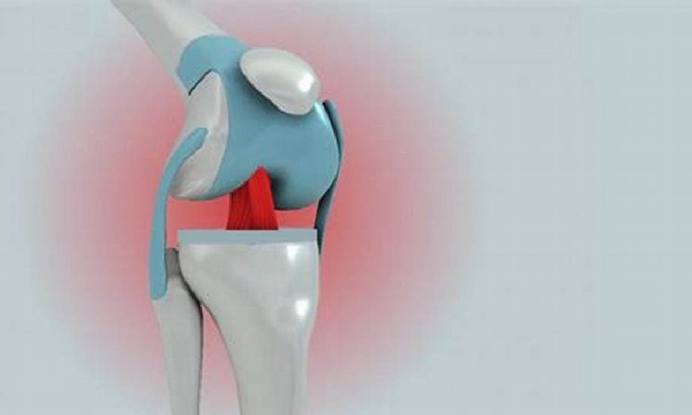 نقشهای مینیسک زانو