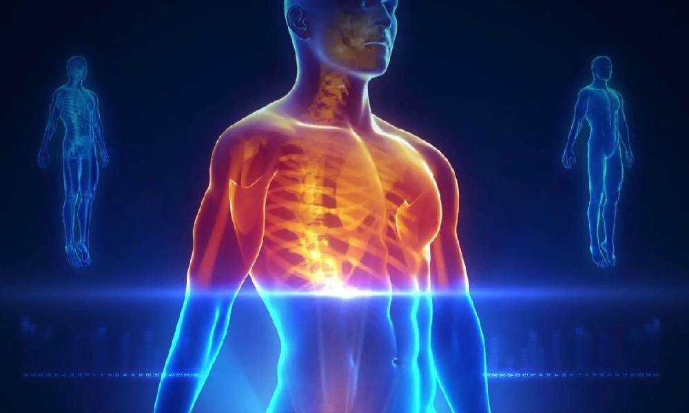 کاربرد اسکن بادی