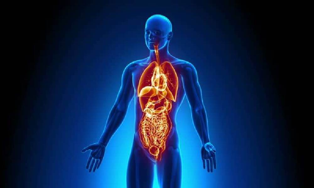 نقش اسکن بادی در تناسب اندام